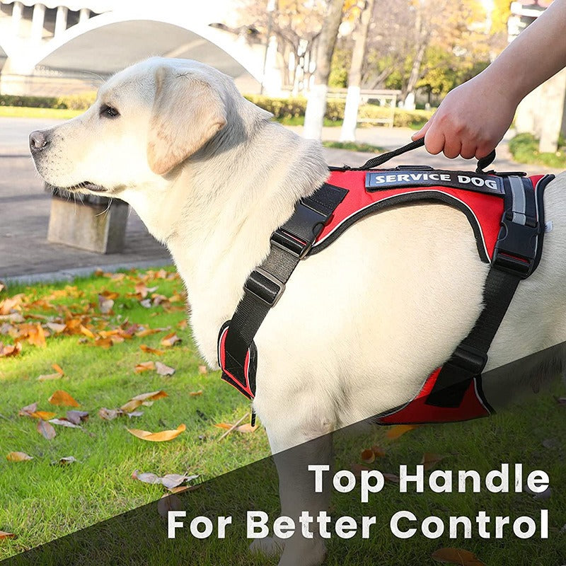 Harness with Velcro Patches