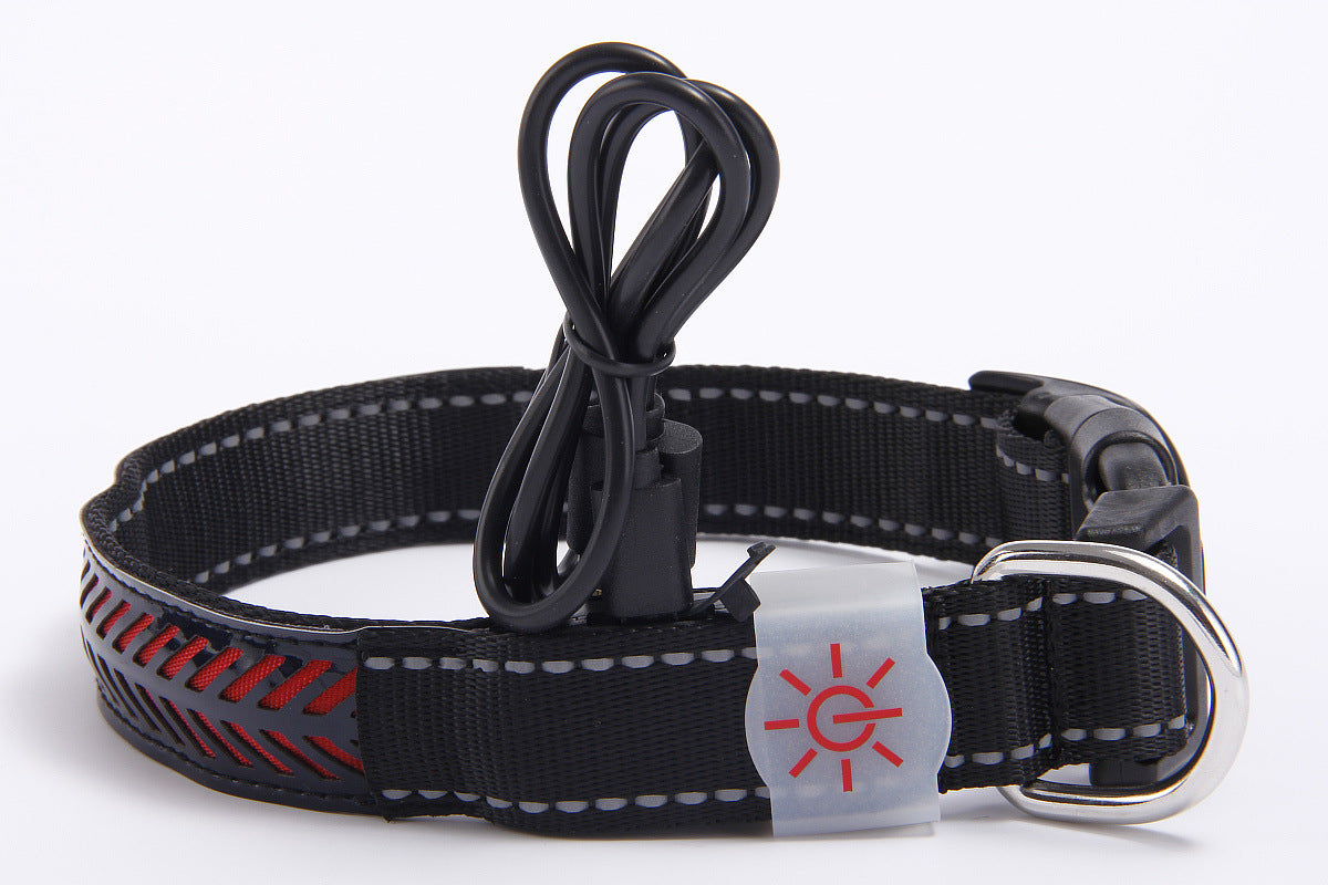 LED Rechargeable Collar