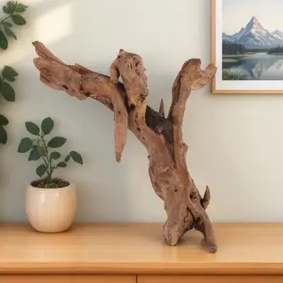 Reptile/Aquarium Driftwood Decor