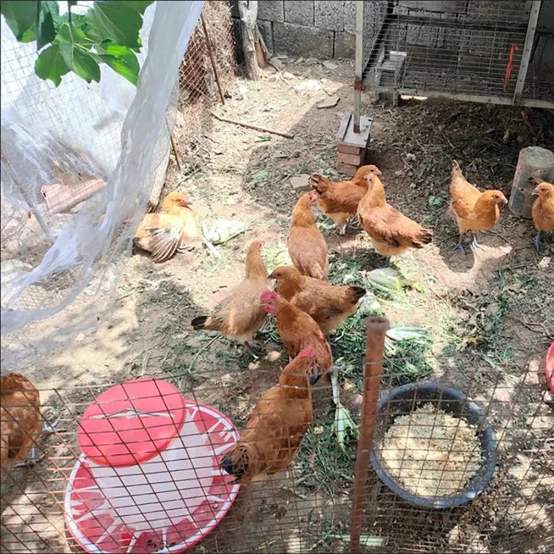 1/3/5Kg Automatic Poultry Feeder