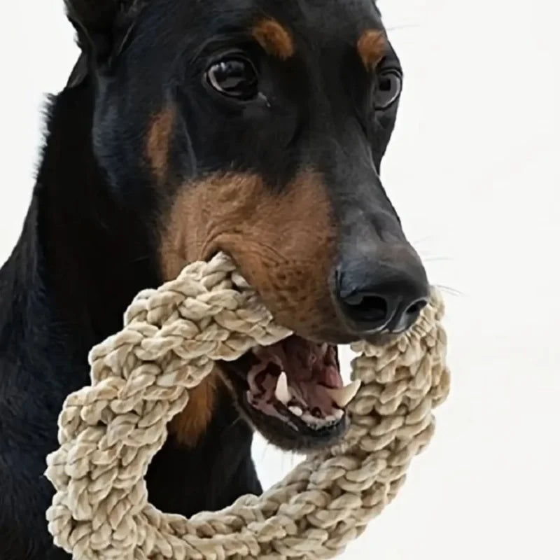 Rope Ring Toy