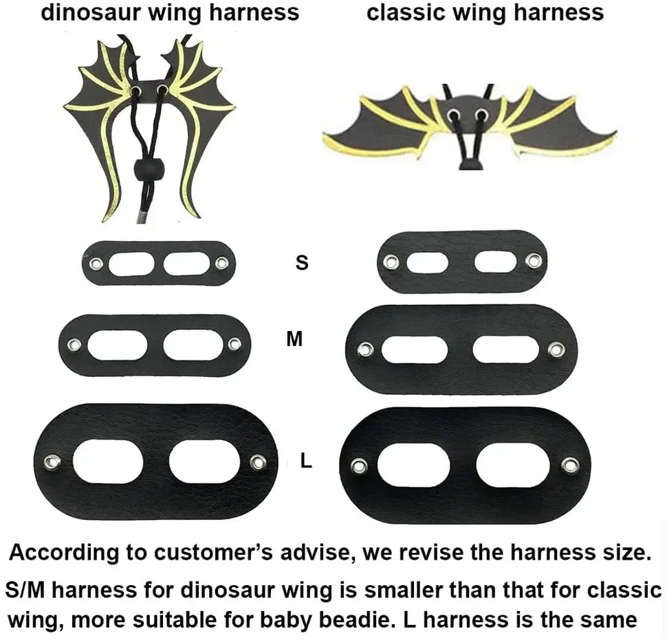 Bearded Dragon Harness