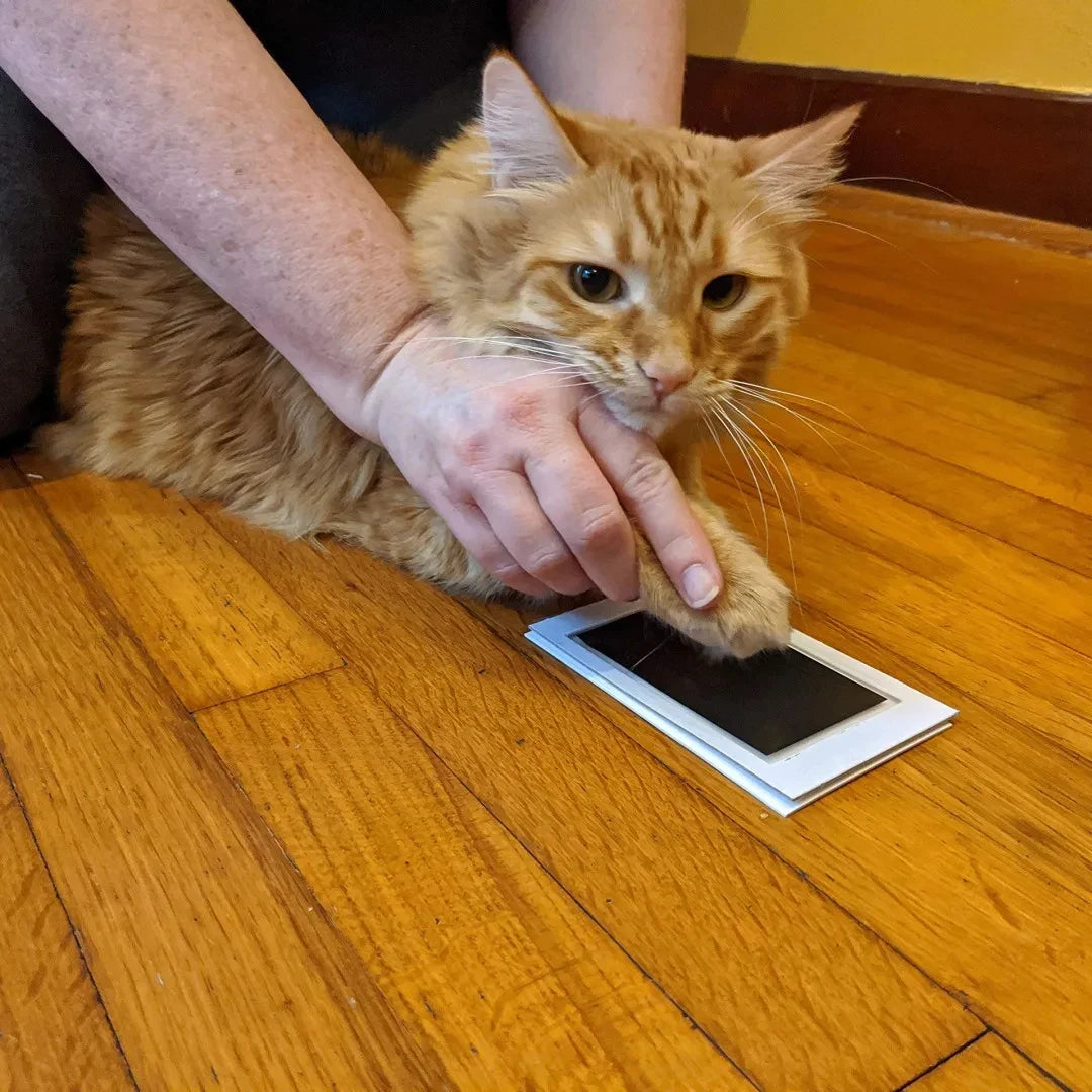 Memorial Paw Ink Pad