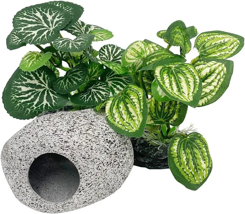 Aquarium/Reptile Decor