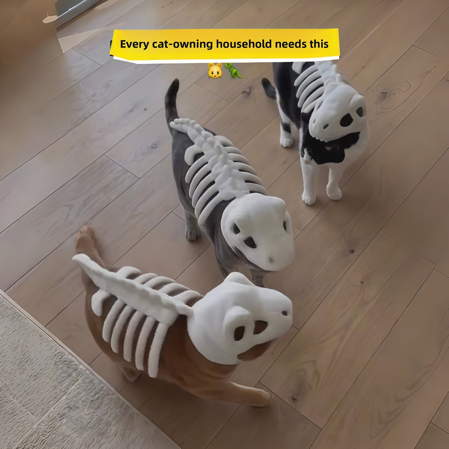 Dinosaur Skeleton Cat Costume