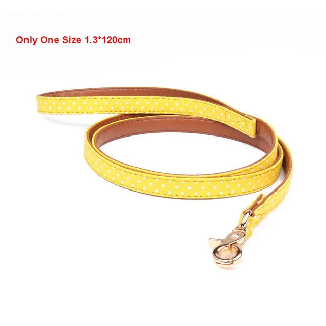 Bandanna/Bow Collar/Leash