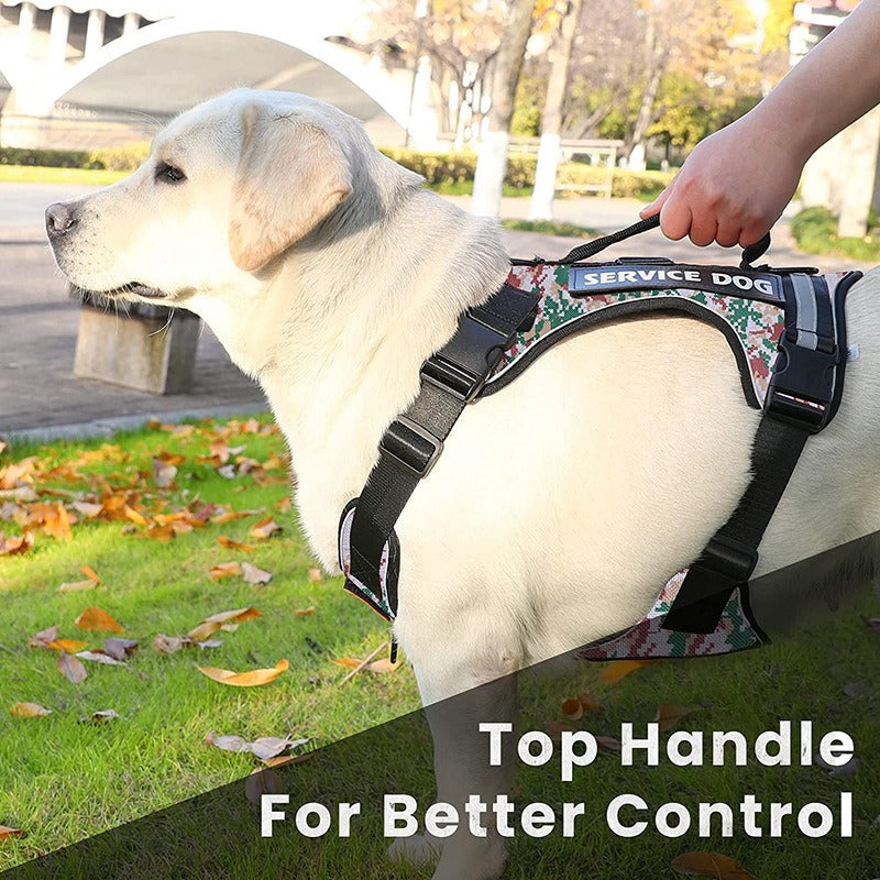 Harness with Velcro Patches