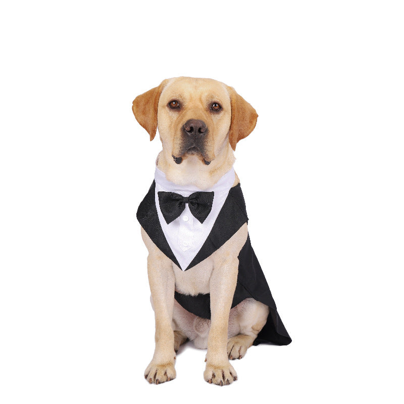 Dog Suit