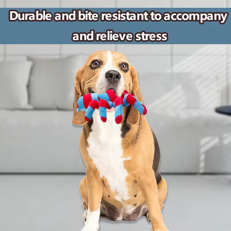 Plush Squeaky Toy