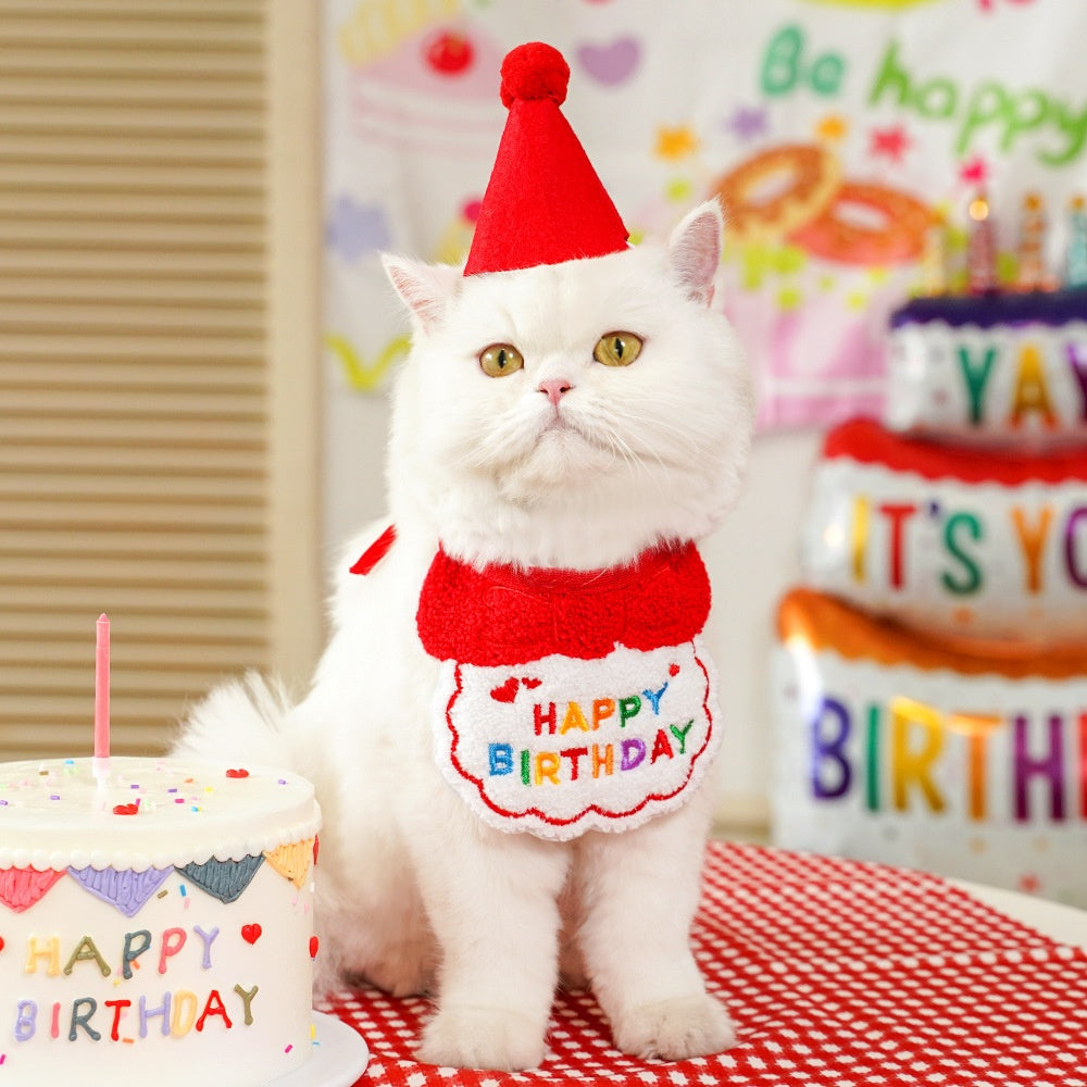 Pet birthday Suit