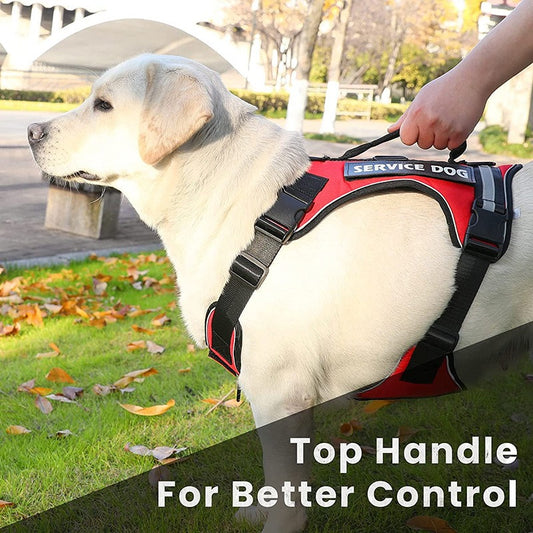 Harness with Velcro Patches
