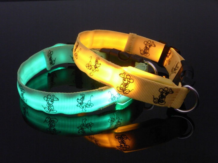 LED Collar