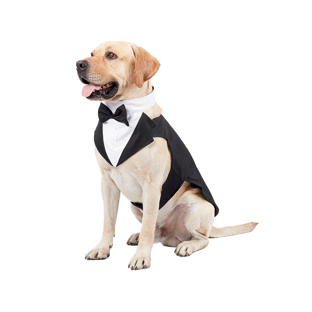 Dog Suit