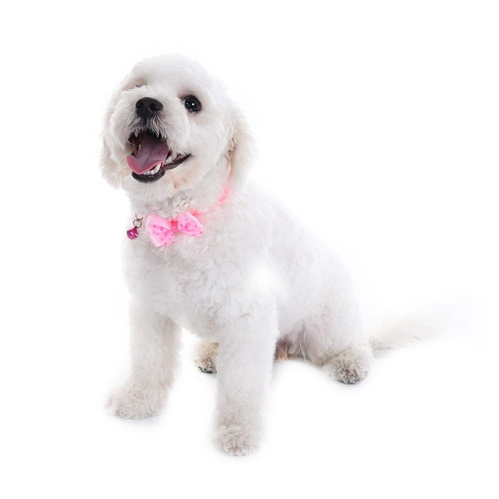 2pcs Puppy/Cat Collar
