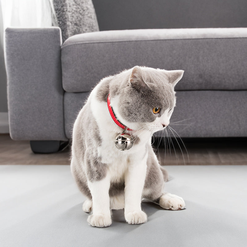 Leather Bell Collar