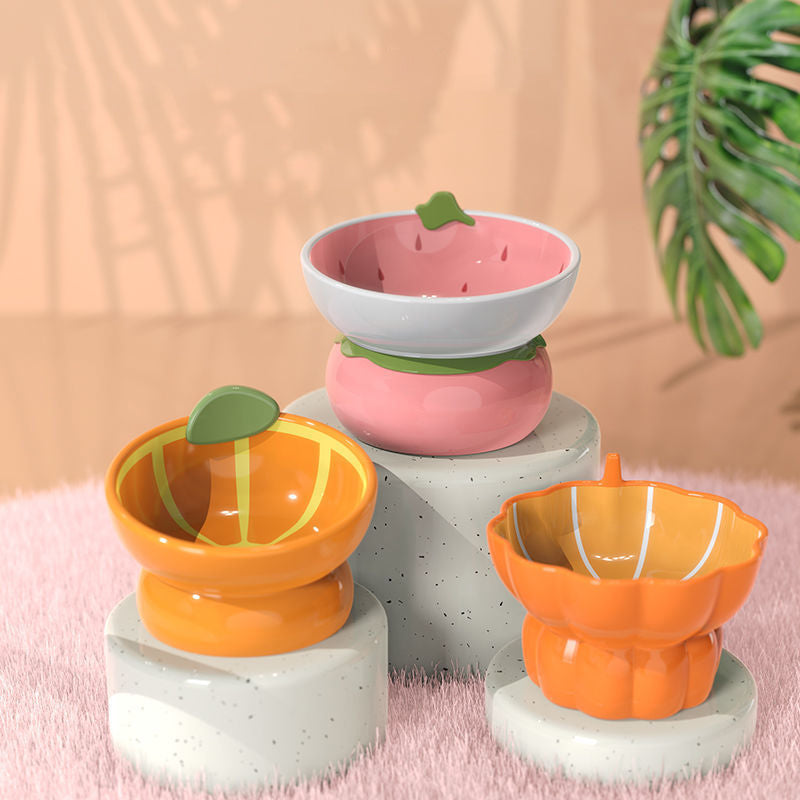 Ceramic Raised Food/Water Bowl