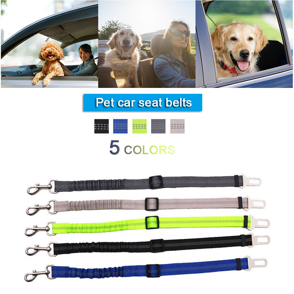 Car seatbelt tether