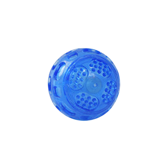 Squeaky Ball Toy