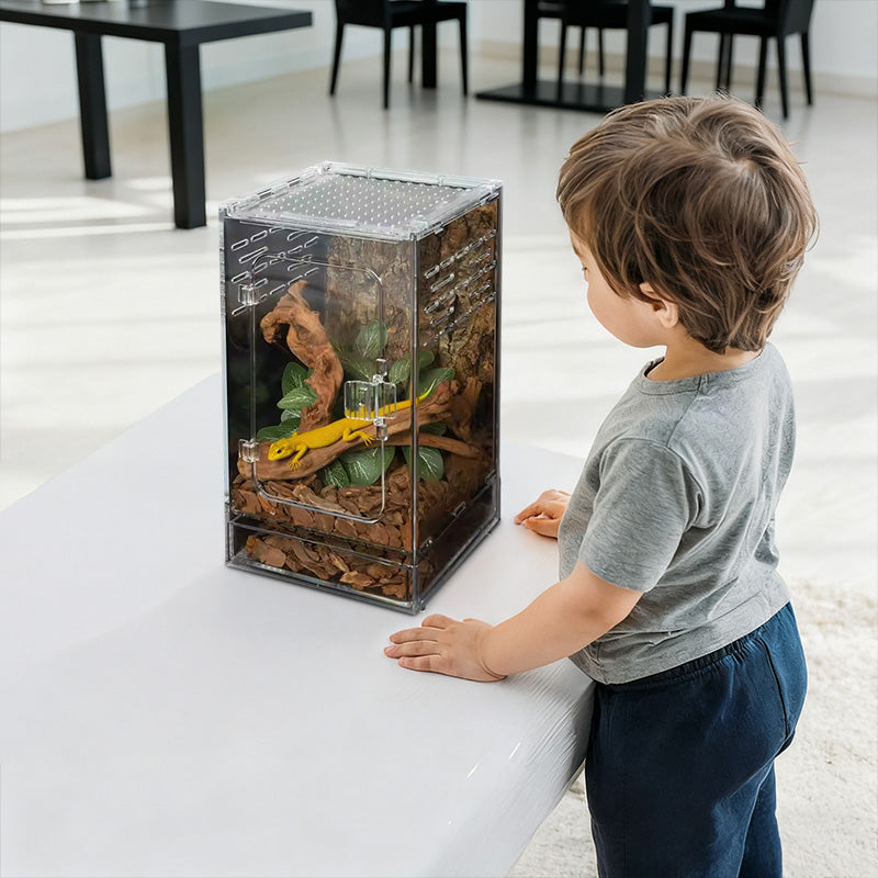 Acrylic Arachnid/Bug Enclosure