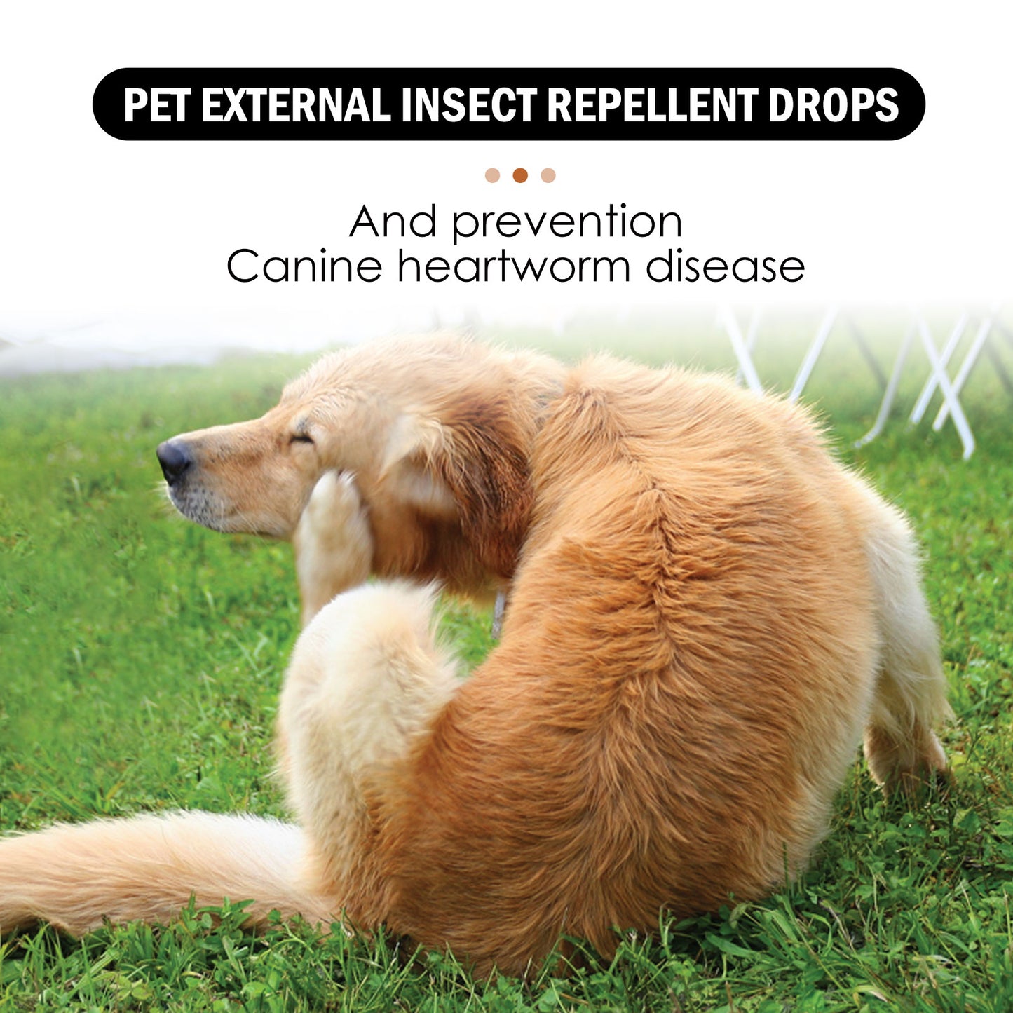 Topical Insect Repellent Drops