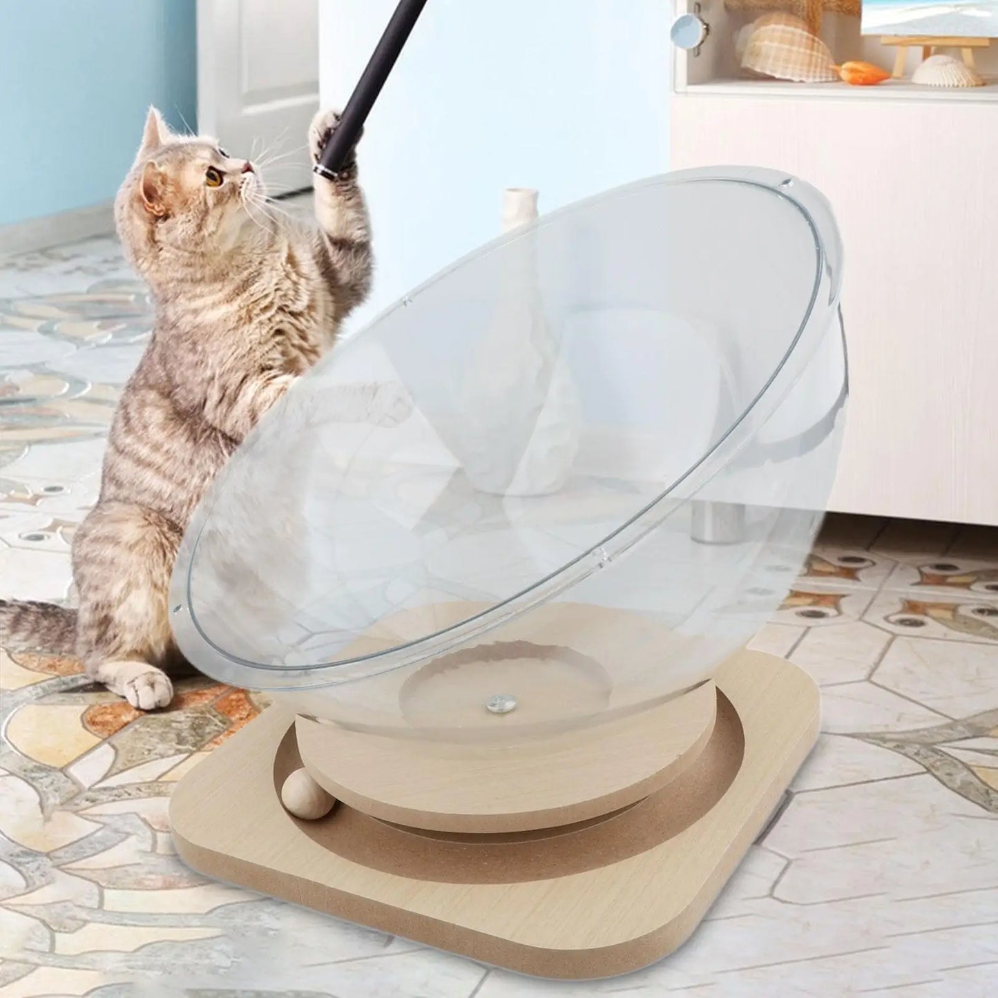 Acrylic Cat Bowl Bed