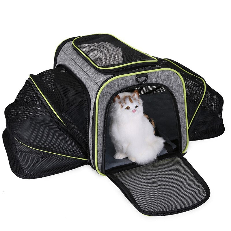 Expandable Carrier