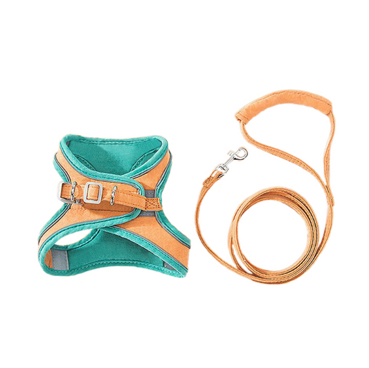 Harness/Leash Set