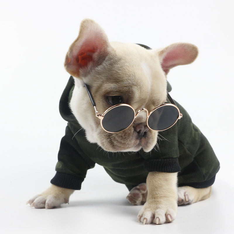 Pet Costume Glasses