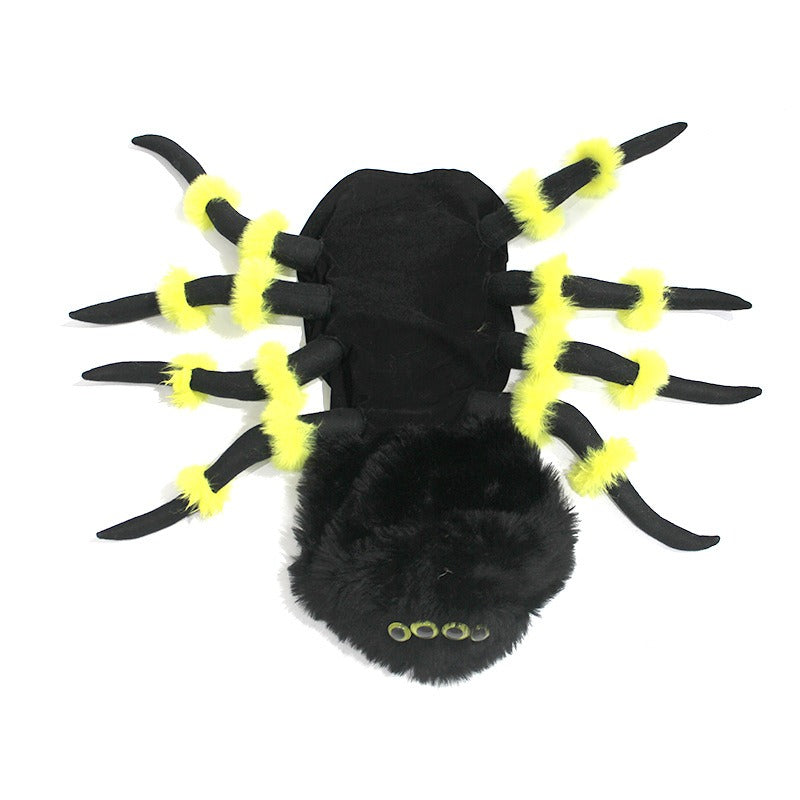 Halloween spider costume