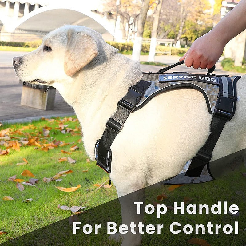 Harness with Velcro Patches