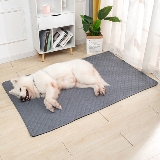 Washable Water Absorbing Pad