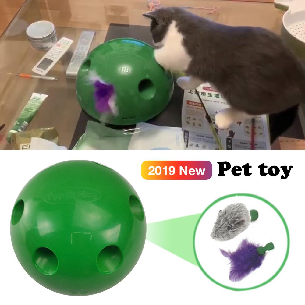 Peek a Boo Cat Toy