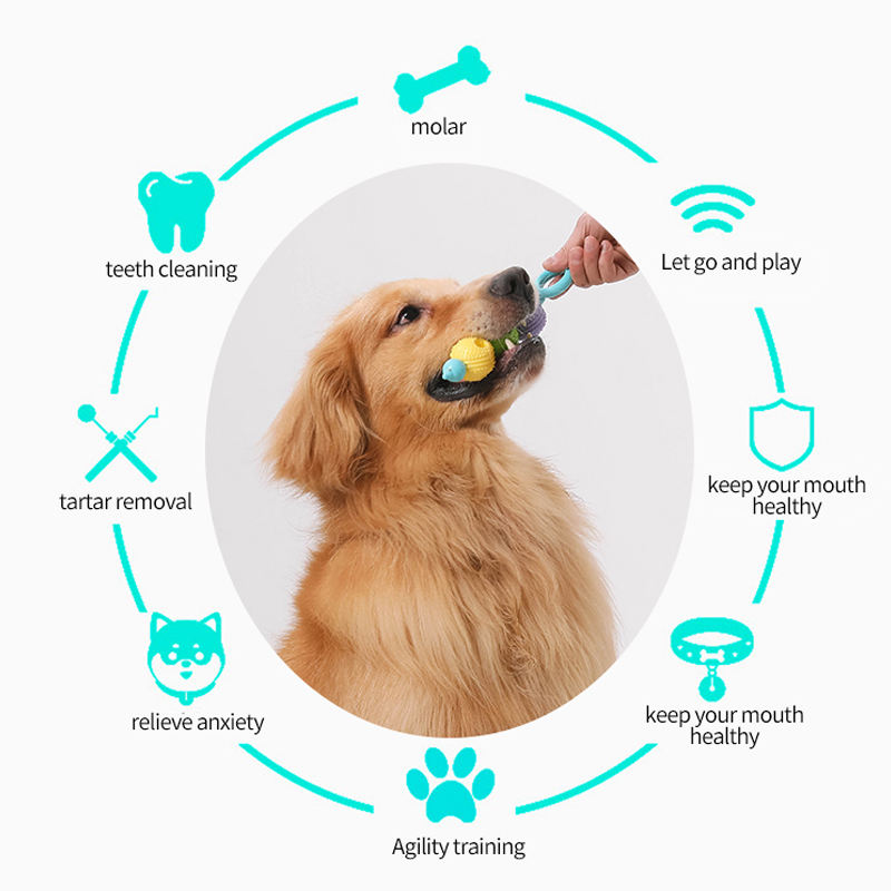 Small Dog/ Puppy teether toy