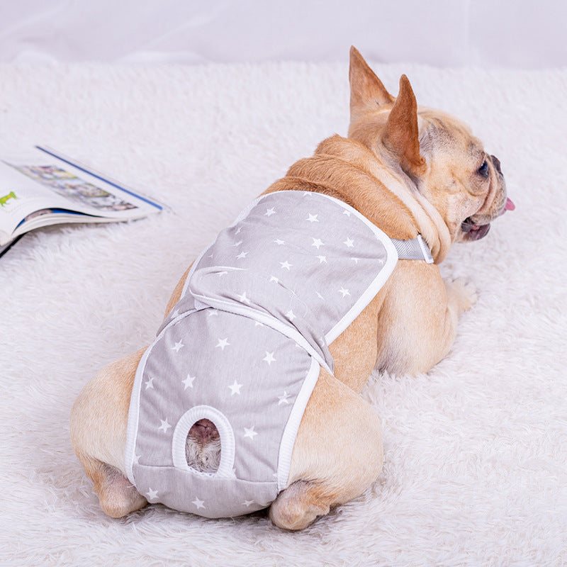 Female Dog In Heat Pants