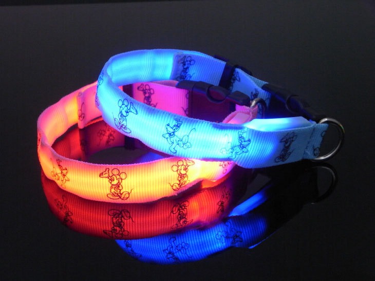 LED Collar