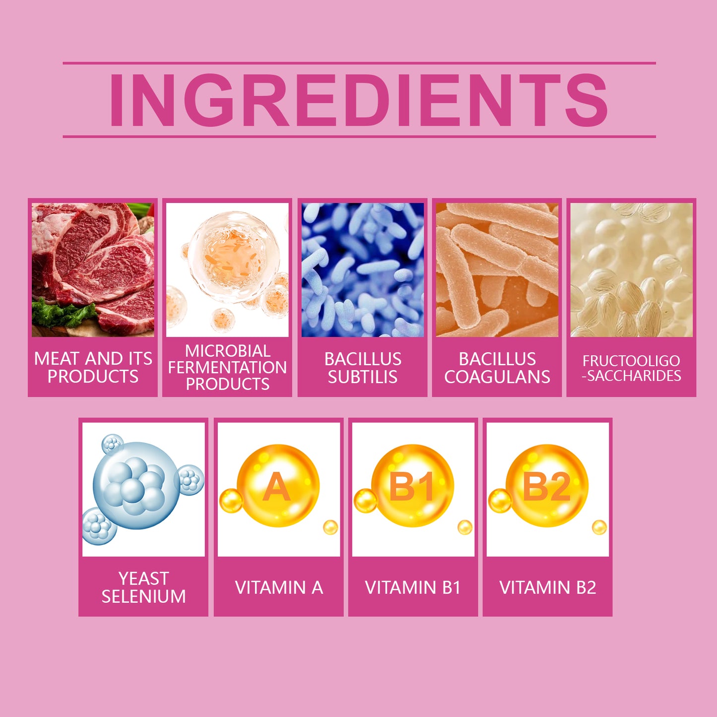 Dog Probiotic Tablets 80ct