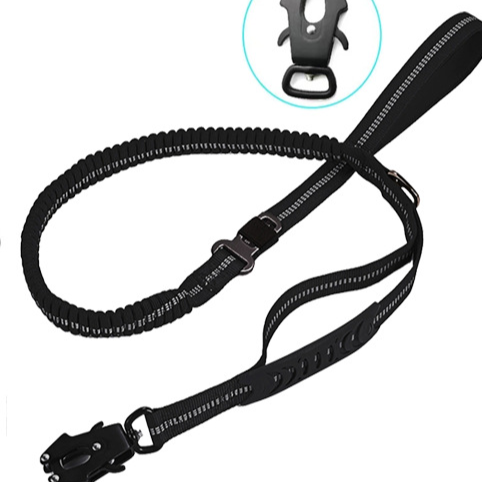 Dog Leash with Seat Belt Clip