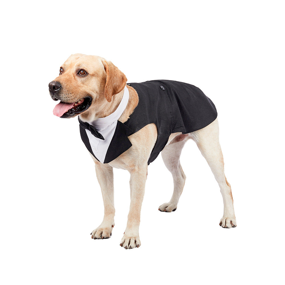Dog Suit