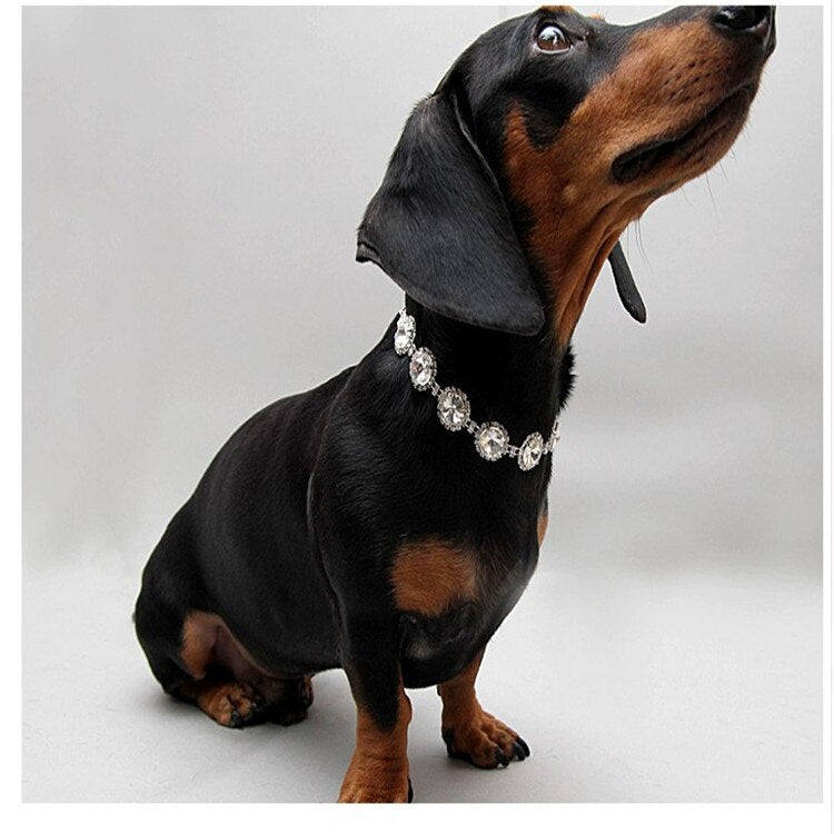 Pearl/Rhinestone Pet Necklace
