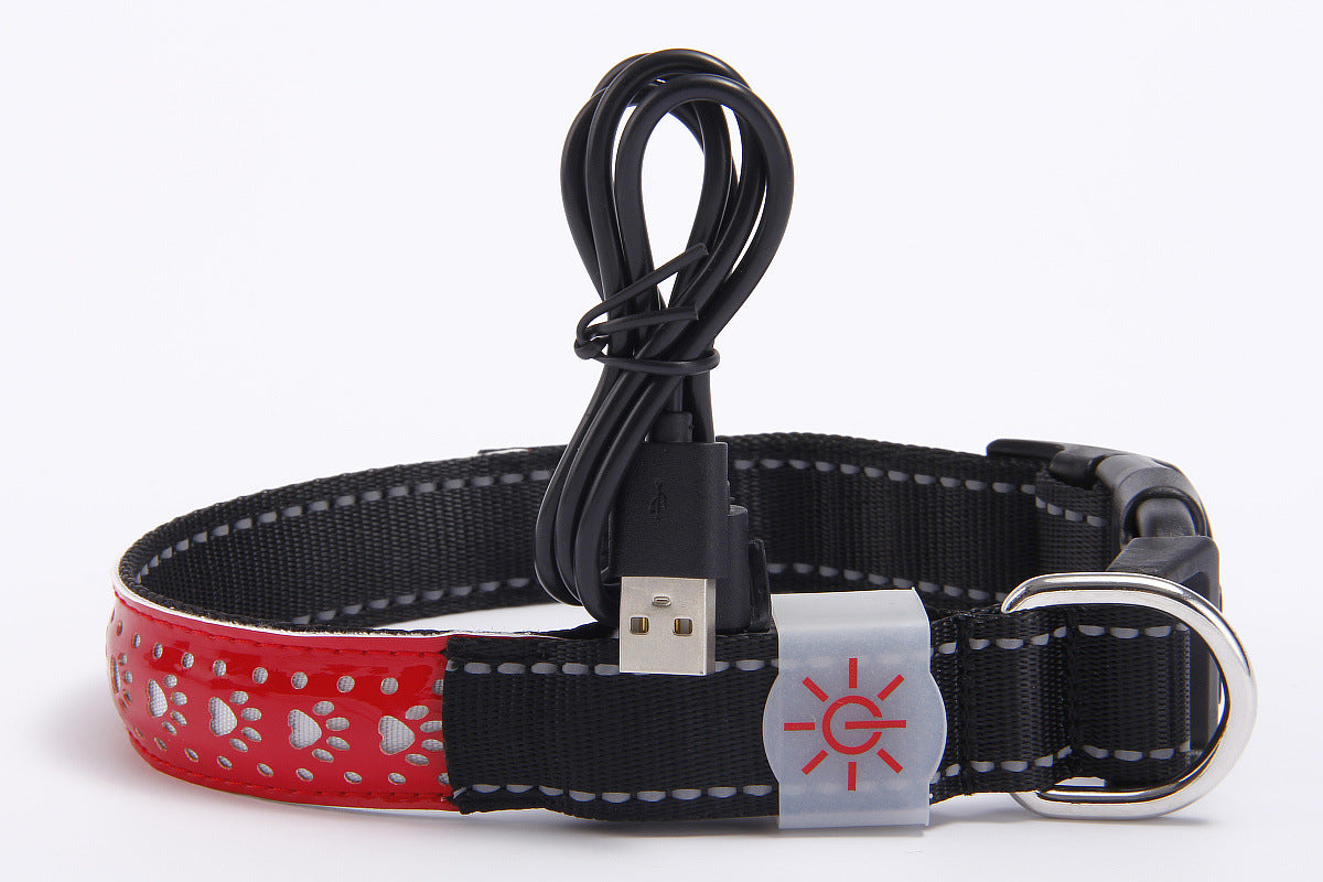 LED Rechargeable Collar