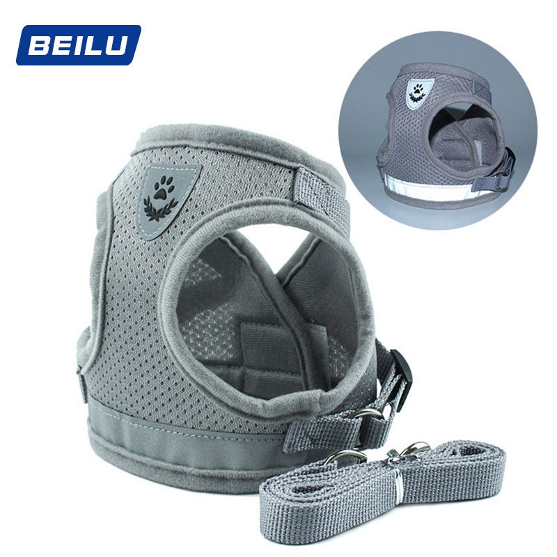 Harness/Leash Set
