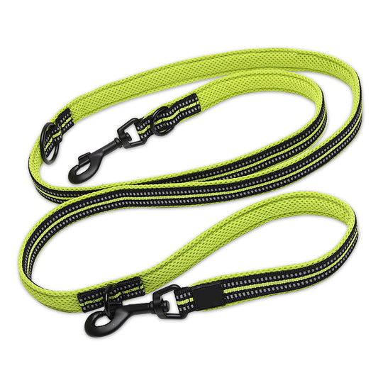 Multifunction Leash