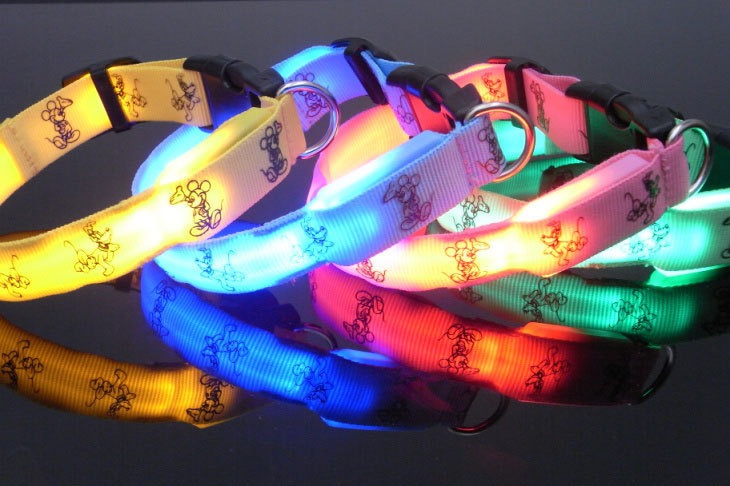 LED Collar