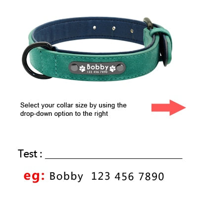 Personalized Leather Collar/Leash