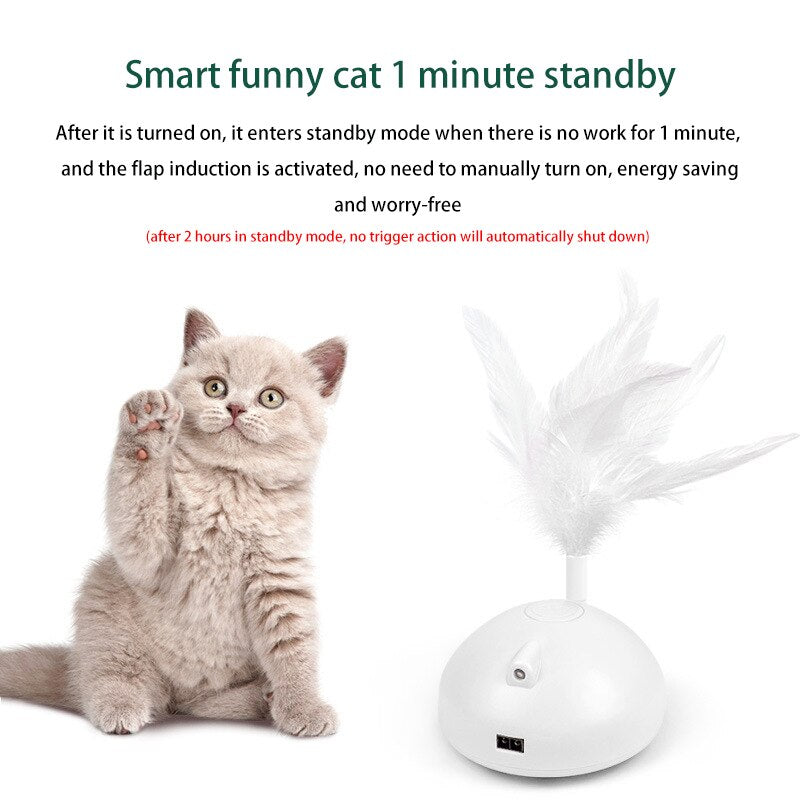 Roaming Cat toy with feather and laser