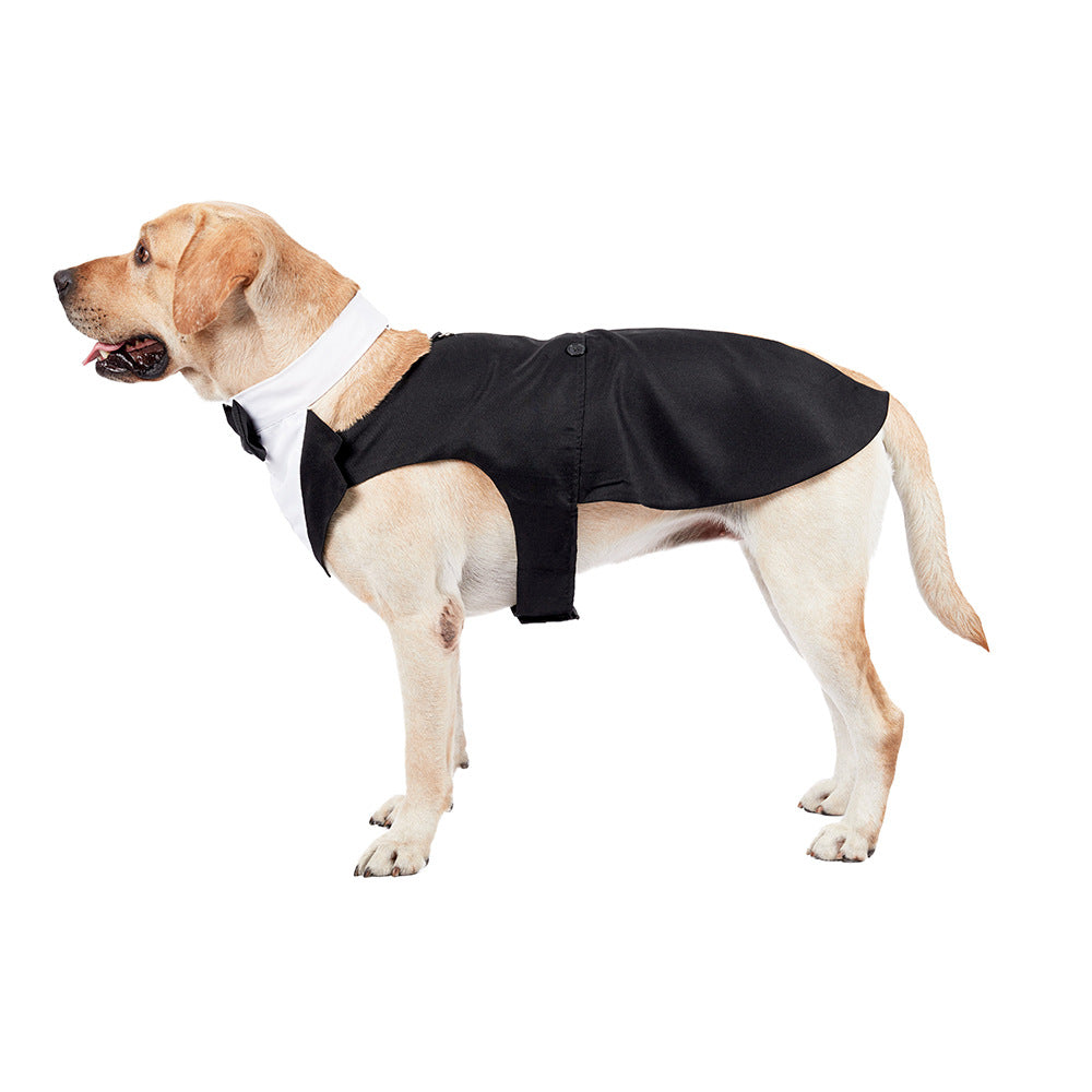 Dog Suit