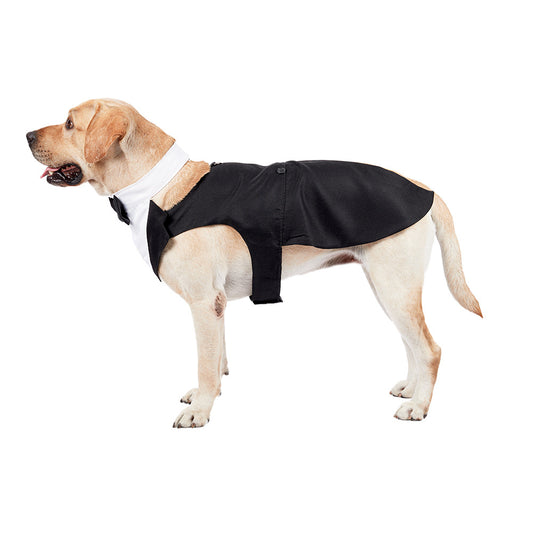 Dog Suit