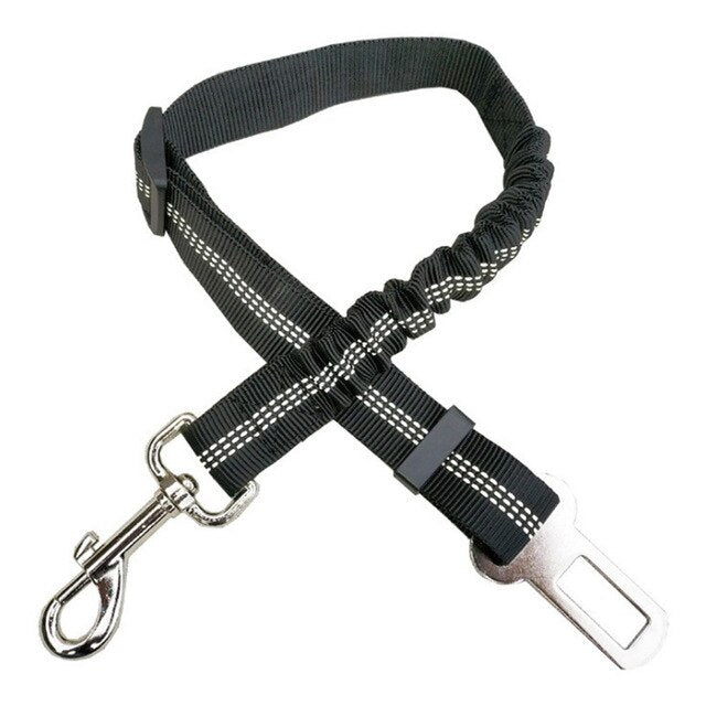Car seatbelt tether