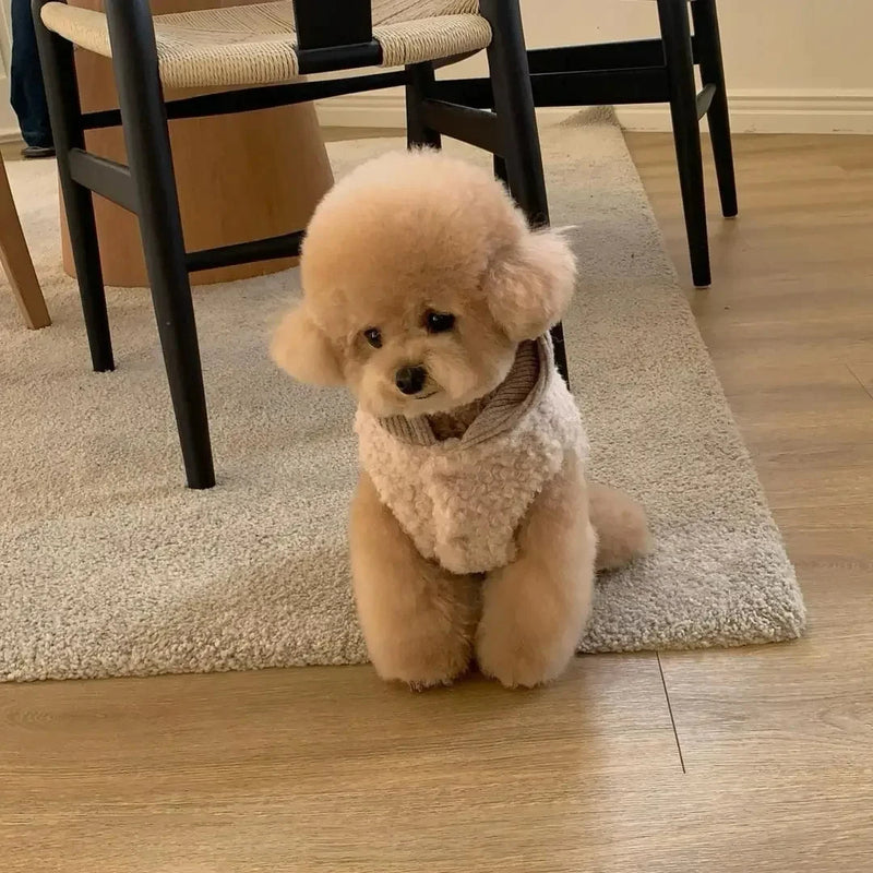 Warm Hoodie