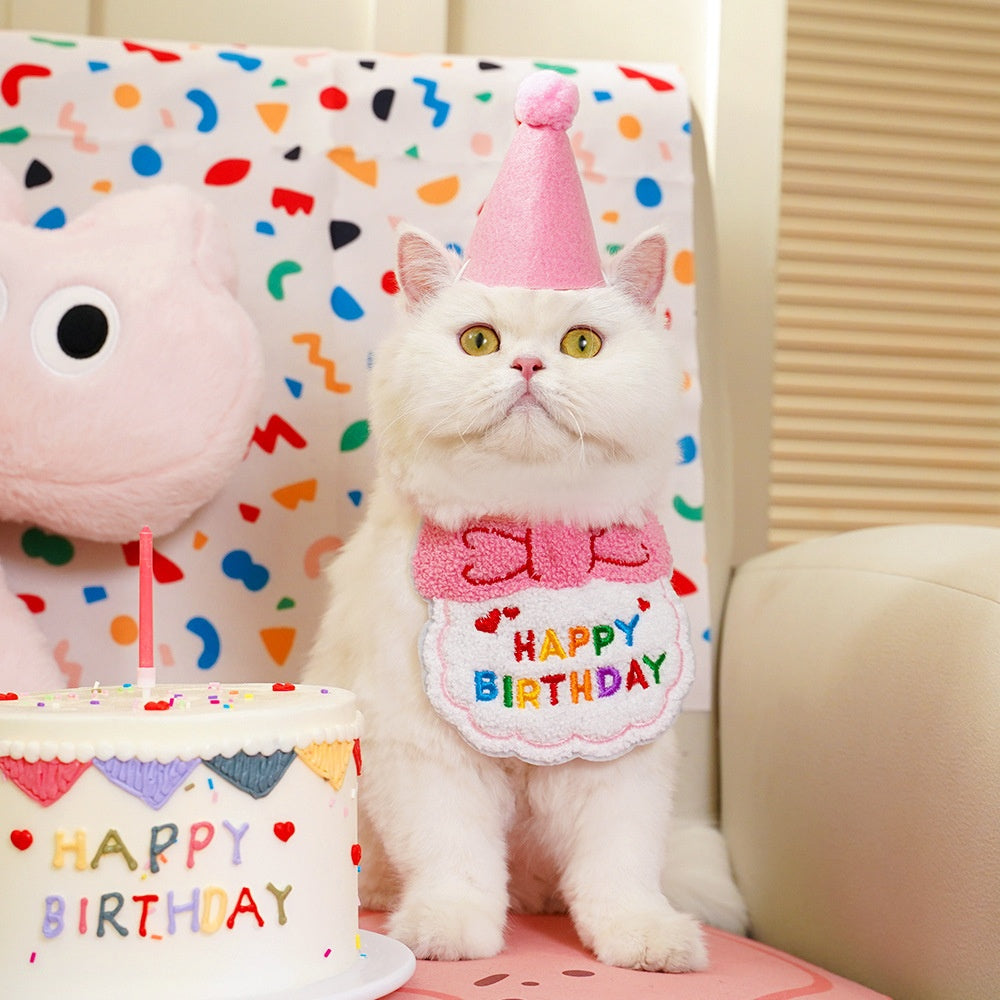 Pet birthday Suit